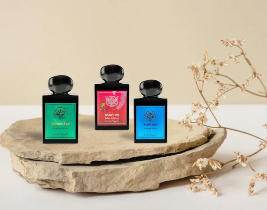 Lorenzo Pazz. Discovery Sets